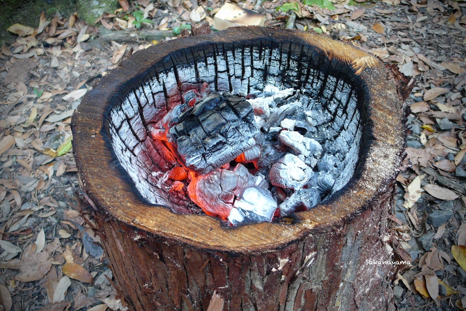ヒノキ火鉢